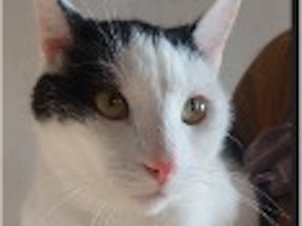 Sebastian