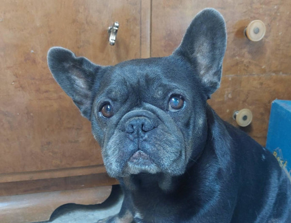 Zoe
