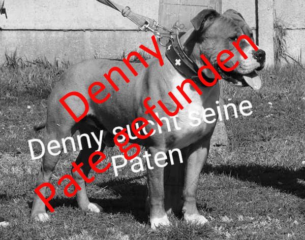 Zwingerpaten02