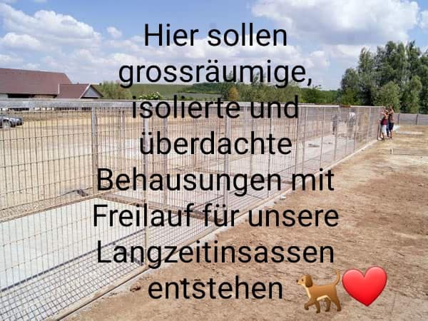Zwingerpaten12