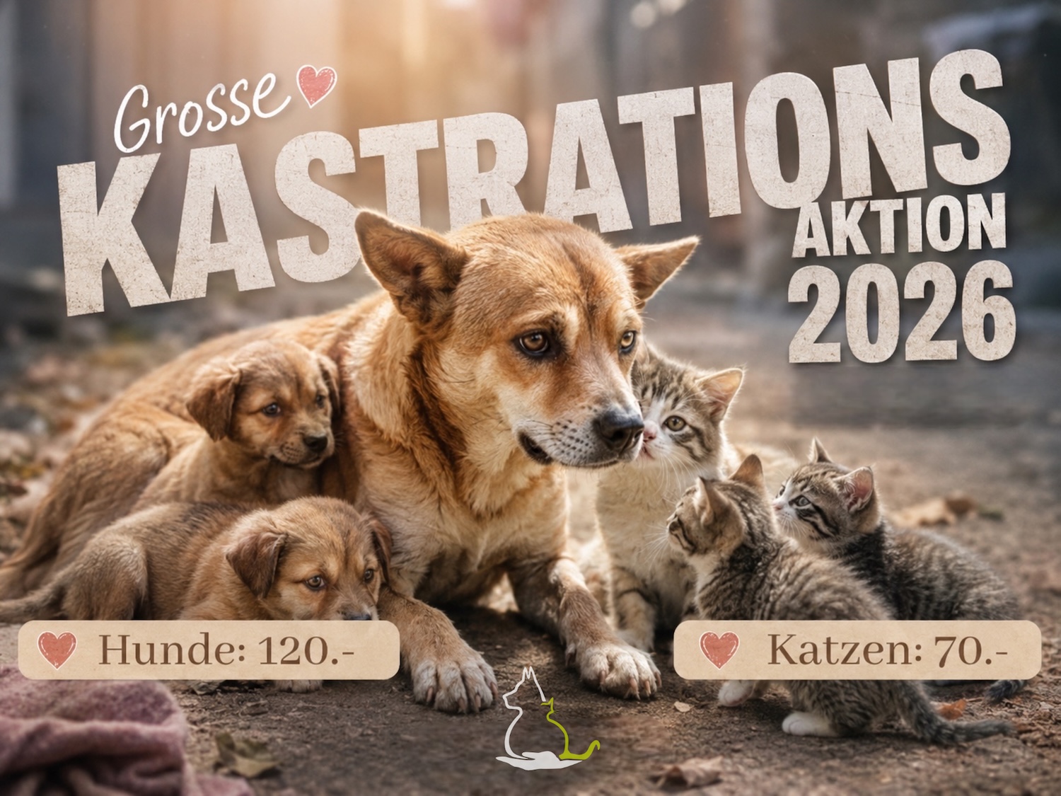 Status: Grosse Kastrationsaktion 2026