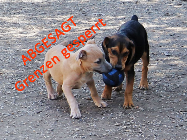 25.-29. September abgesagt
