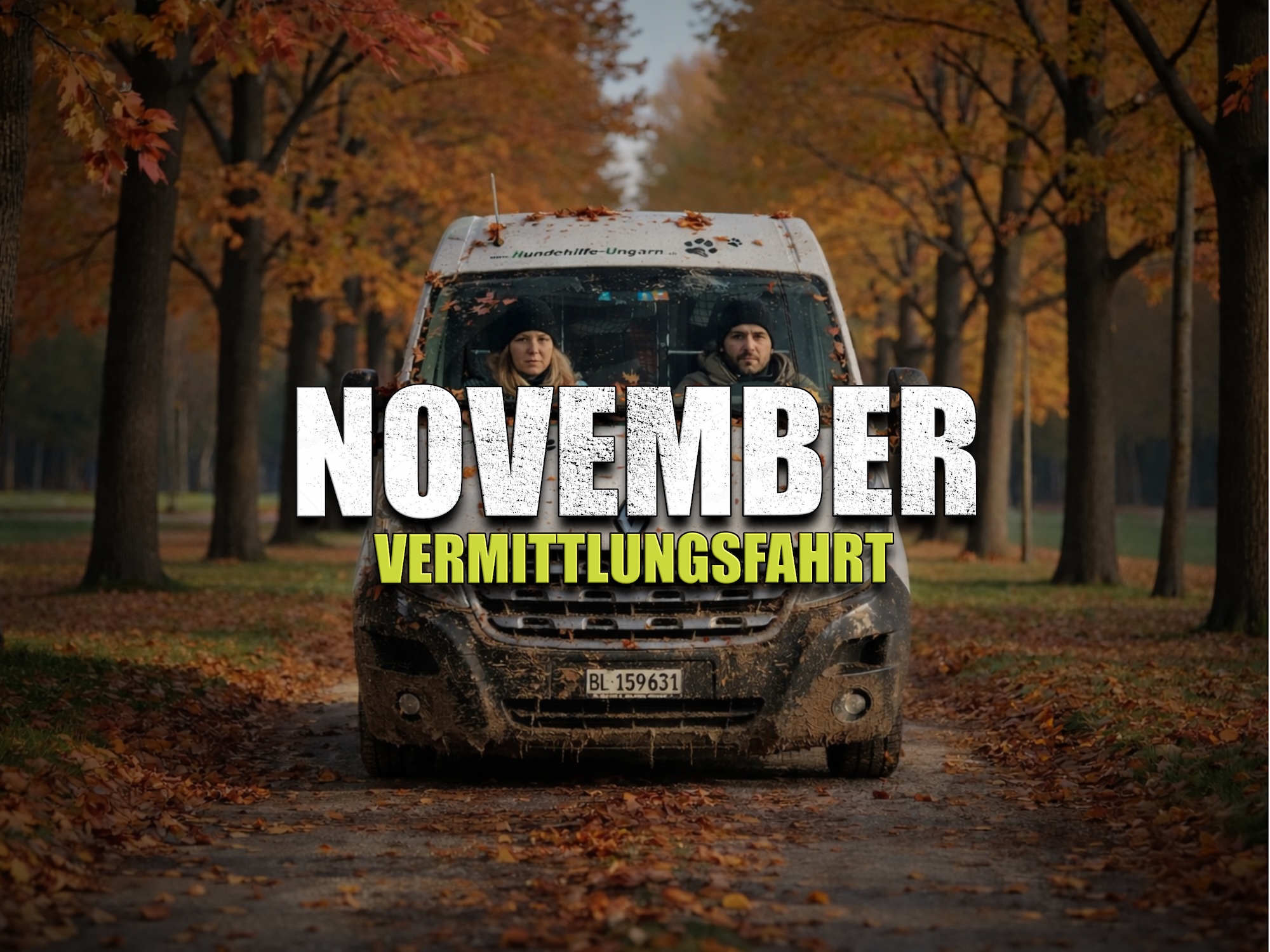 Status: 02. November 2026
