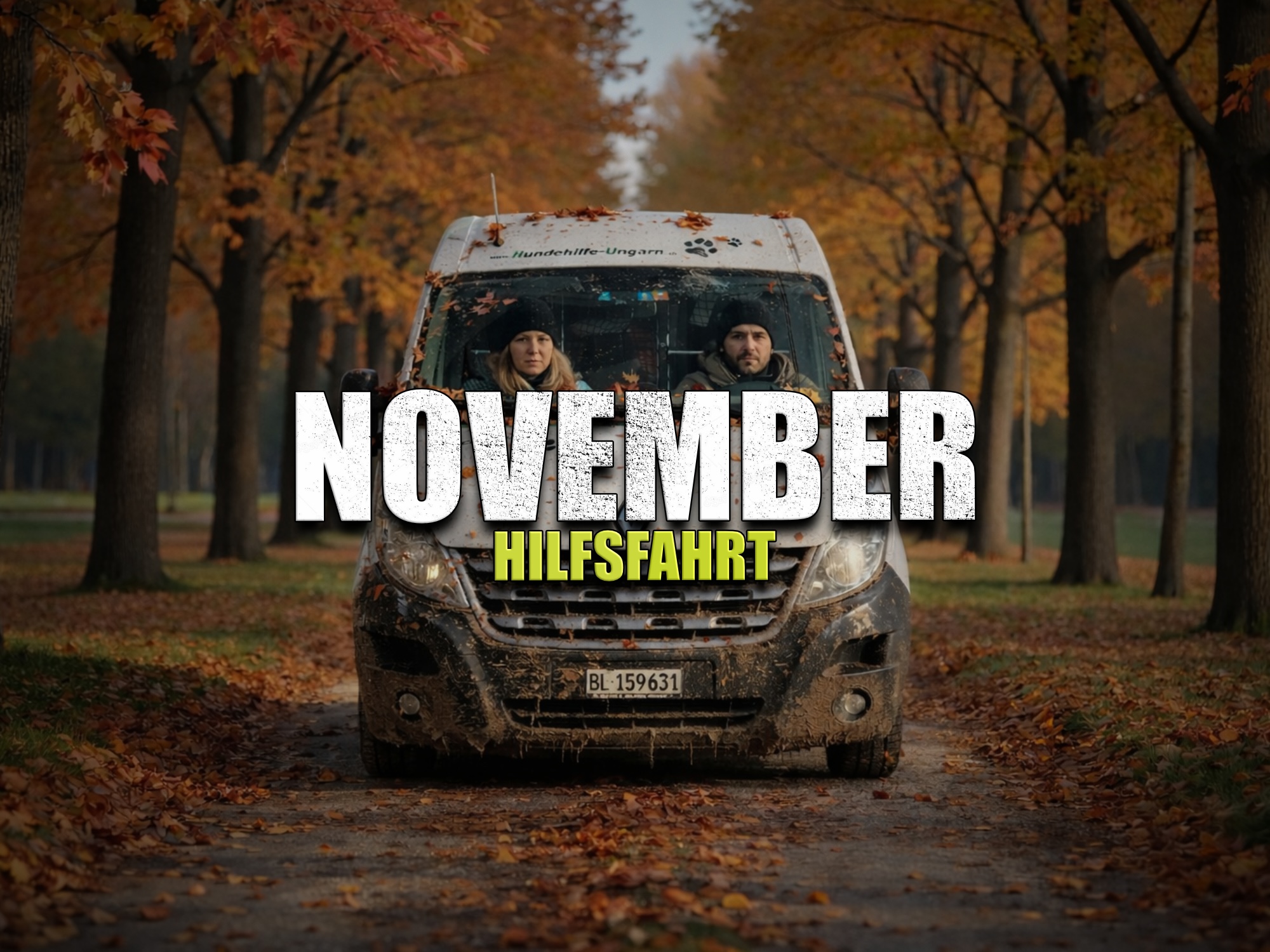 Status: 11. - 16. November 2026