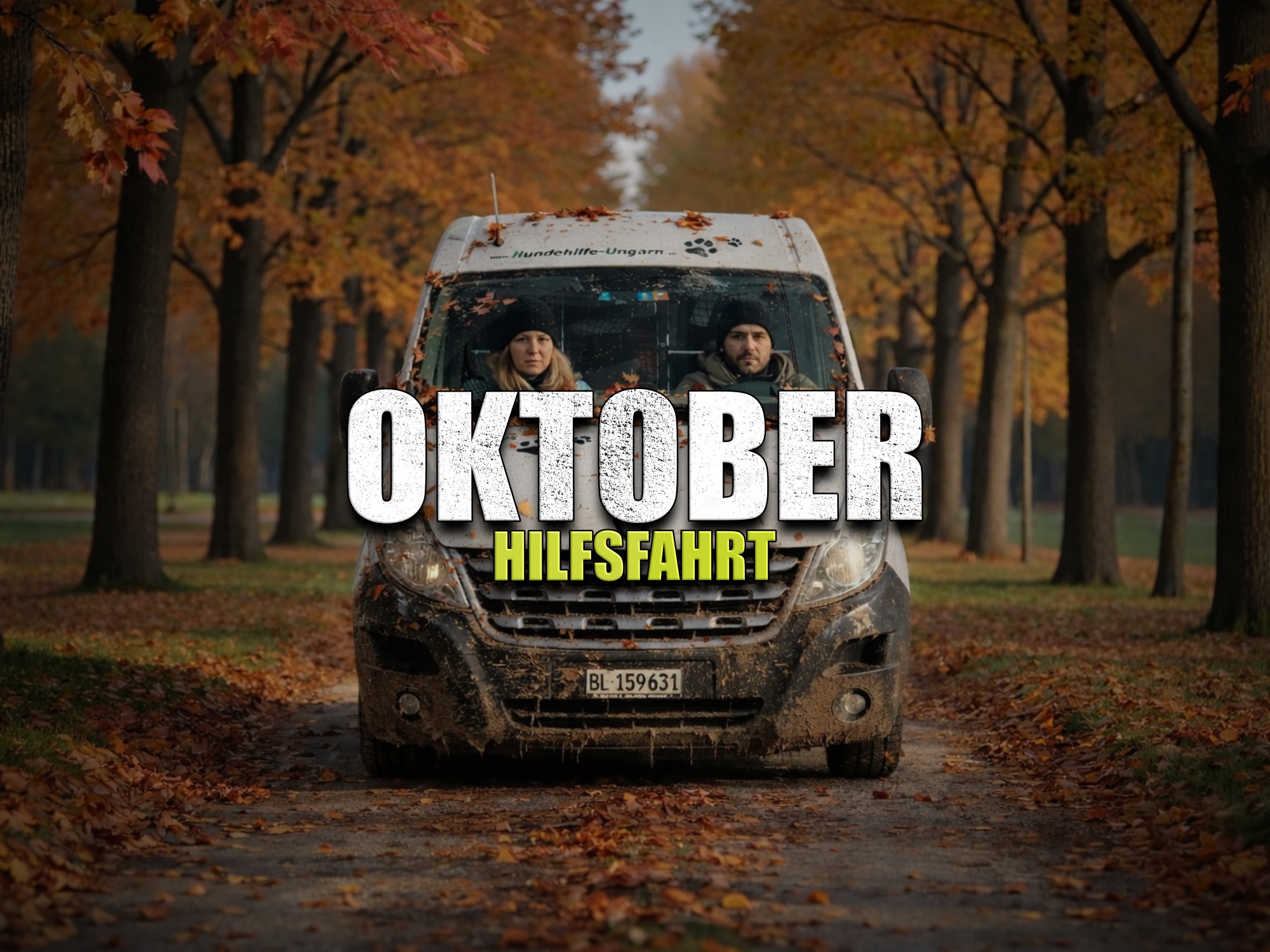 Status: 16. - 19. Oktober 2026