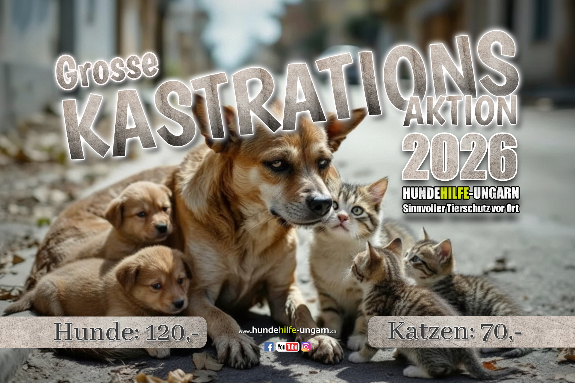 Aktionen