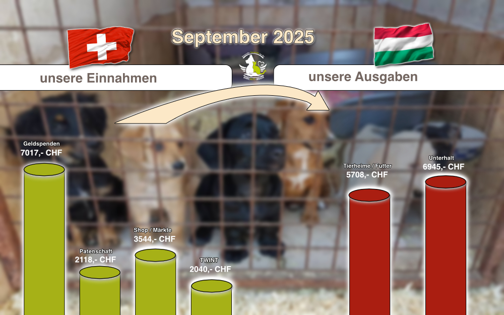 September 2025